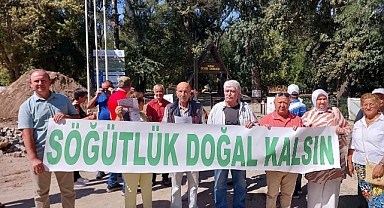 SÖĞÜTLÜKTE AĞAÇLARIN KURUMA NEDENİ SİYASET VE İKTİDAR TEMSİLCİLERİDİR!