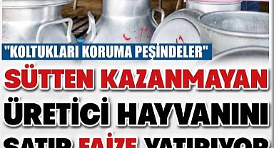 SÜTTEN KAZANMAYAN ÜRETİCİ HAYVANINI SATIP FAİZE YATIRIYOR