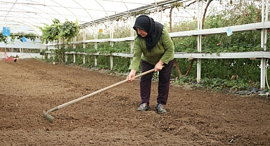 Devlet desteği ile sera kurdu
