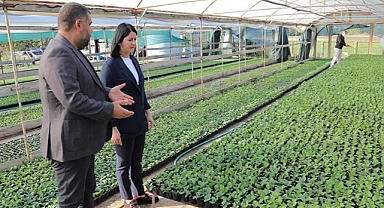 PARKLAR ÇİÇEK AÇACAK