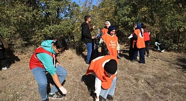 Trakya'da ormanlarda temizlik yapıldı