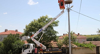 TREDAŞ, doğadaki canlıları koruma çalışmalarını sürdürüyor