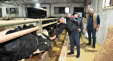 Edirne’de ari damızlık hayvan üretim merkezi yapılacak