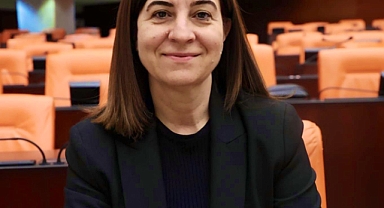 AKSAL: ÇELENK KOYAMAYANLAR ÜLKEYİ YÖNETEMEZLER