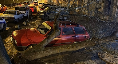 Üzerine ağaç devrilen otomobilde hasar oluştu