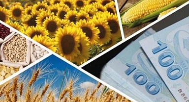 2024'te 21 tarımsal projeye 19 milyon 197 bin lira destek verildi