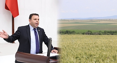 Buğdayda Kara Tablo