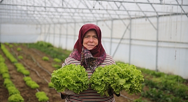 Devlet desteğiyle sera kurdu