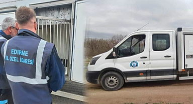Sahipsiz köpekleri topluyorlar