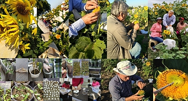 T.Ü’NE TÜBİTAK’TAN ULUSLARARASI PROJE DESTEĞİ