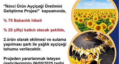 Ek-sula-üret