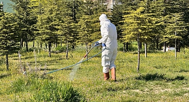 Belediye parklarda ilaçlama yaptı
