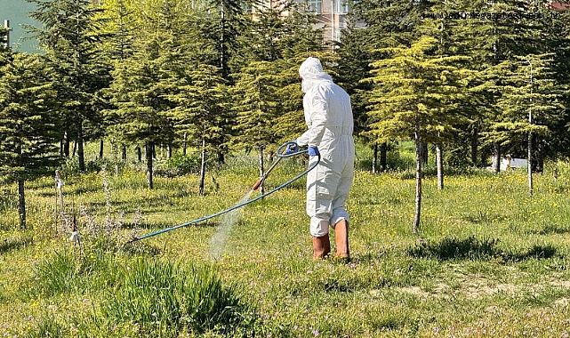 Belediye parklarda ilaçlama yaptı