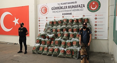 Kapıkule'de 382 kilogram esrar ele geçirildi