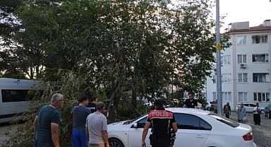 Otomobilin üzerine düşen dal hasara yol açtı