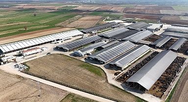 Süt işletmesi güneşten elde ettiği enerjiyle giderlerini azaltıyor