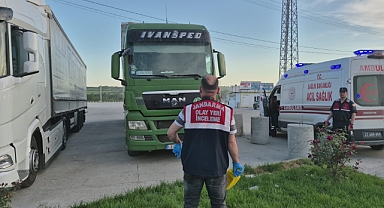 Tır sürücüsü aracında ölü bulundu