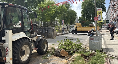 Yola devrilen ağaç trafiği aksattı