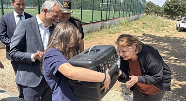 18 saat ağaçta mahsur kaldı