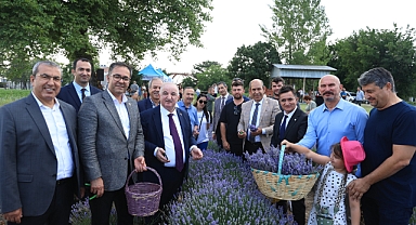 “8. Lavanta Tarla Günleri” başladı