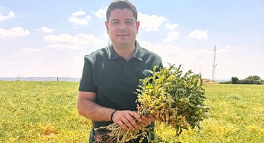 NOHUT EKİMİ; ÇİFTÇİYE YENİ UMUT, TOPRAĞA YENİ SOLUK