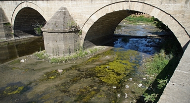 TUNCA İÇLER ACISI