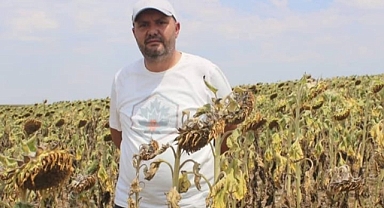 AYÇİÇEĞİ SUSUZ KALDI, ÇİFTÇİ UMUTSUZ
