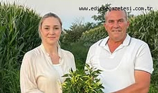 Çarliston siyaseti