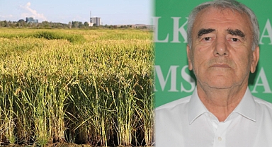 ÇELTİKTE KURAKLIK ALARMI