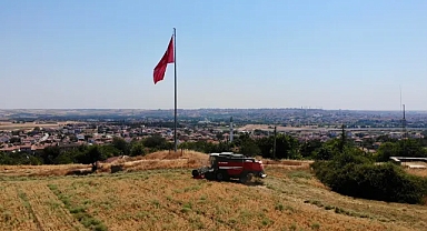 EDİRNE BELEDİYESİ NOHUT HASADINI GERÇEKLEŞTİRDİ