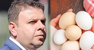 Ediz Ün:
