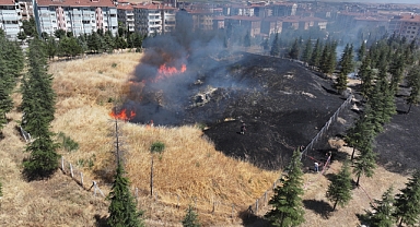 Tarihi tabyalar yandı