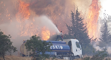 Tekirdağ'da çıkan orman yangını Çanakkale'ye sıçradı