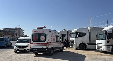 Tır sürücüsü aracında ölü bulundu