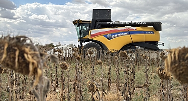 Hasadın büyük bölümü tamamlandı