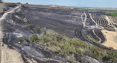 Anız Yangını Felakete Dönüşüyordu