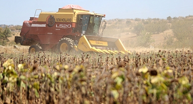 Aşırı sıcak erken hasat getirdi