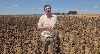 AYÇİÇEĞİ ÜRETİCİSİNE DARBE ÜSTÜNE DARBE