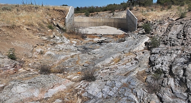 Ayçiçeği ve Mısır Tarlaları Susuzluktan Kurudu