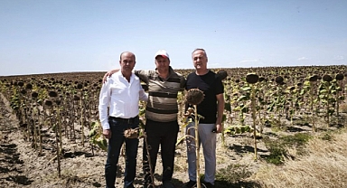 AYÇİÇEĞİNDE FİYAT REVİZE EDİLMELİ