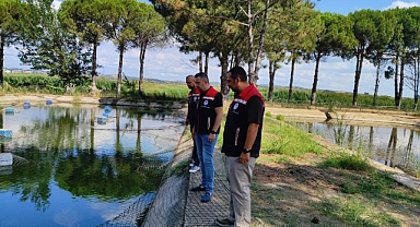 Balık yavruları su kaynaklarına salınacak