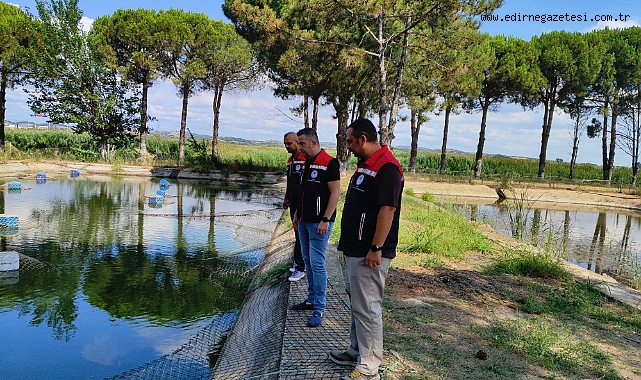 Balık yavruları su  kaynaklarına salınacak