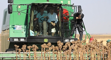 EN İYİ VERİM ANIZA EKİMLE