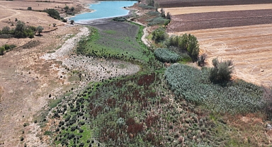 Gölet Kuruma Noktasında