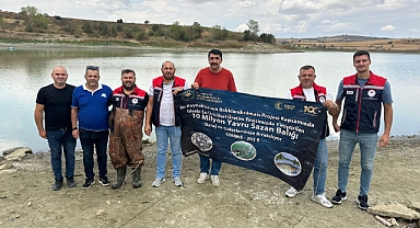 Göletlere sazan takviyesi