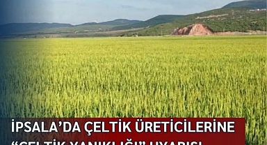 İpsala’da Çeltik Üreticilerine “Çeltik Yanıklığı” Uyarısı