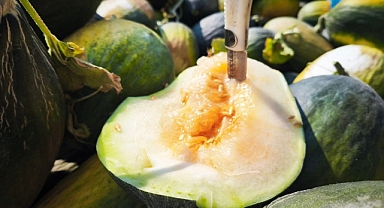 İpsala'nın Meşhur Karakavunu Tezgahlarda