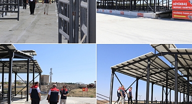 Köse, canlı hayvan pazarında incelemede bulundu