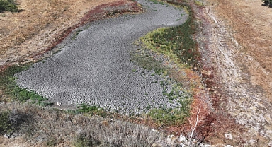  Küçükdöllük Göleti tamamen kurudu