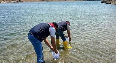Sazan yavruları göletlere bırakıldı